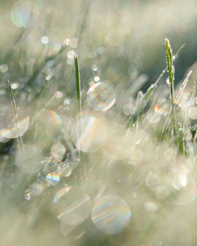 zdenek-machacek-zdq9U7MzJnQ-unsplash